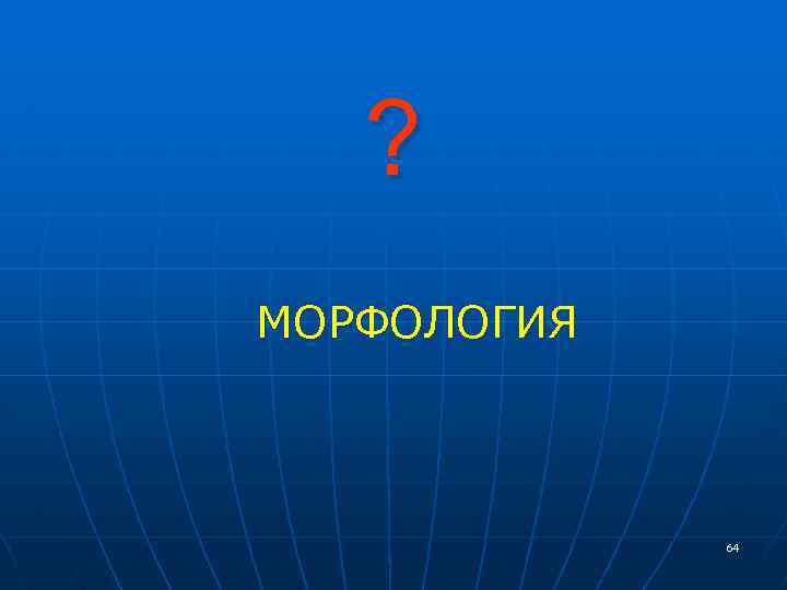 ? МОРФОЛОГИЯ 64 