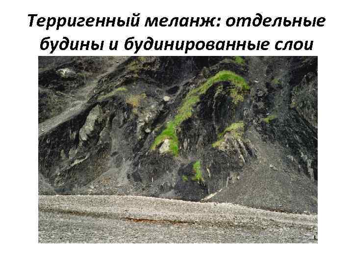 Терригенный меланж: отдельные будины и будинированные слои 