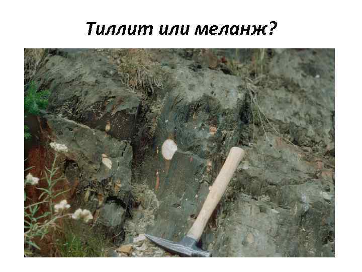 Тиллит или меланж? 