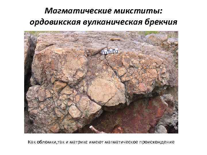 Магматические микститы: ордовикская вулканическая брекчия Как обломки, так и матрикс имеют магматическое происхождение 