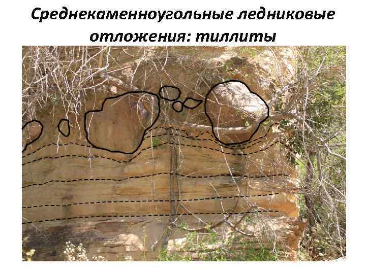 Среднекаменноугольные ледниковые отложения: тиллиты 