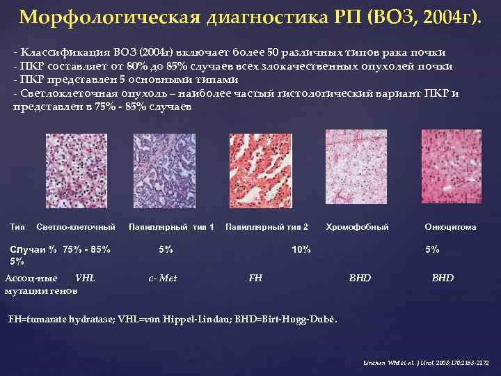 Что такое морфологическая картина