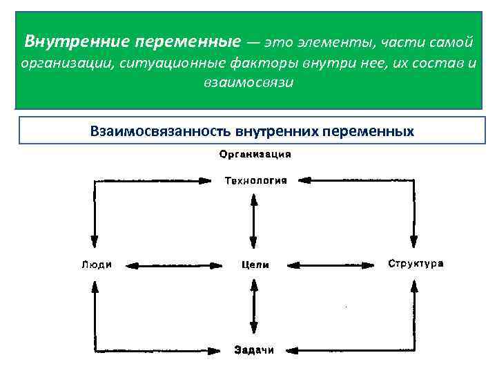 Внутренние переменные — это элементы, части самой организации, ситуационные факторы внутри нее, их состав