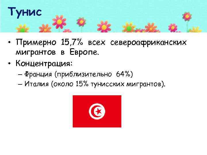 Тунис • Примерно 15, 7% всех североафриканских мигрантов в Европе. • Концентрация: – Франция