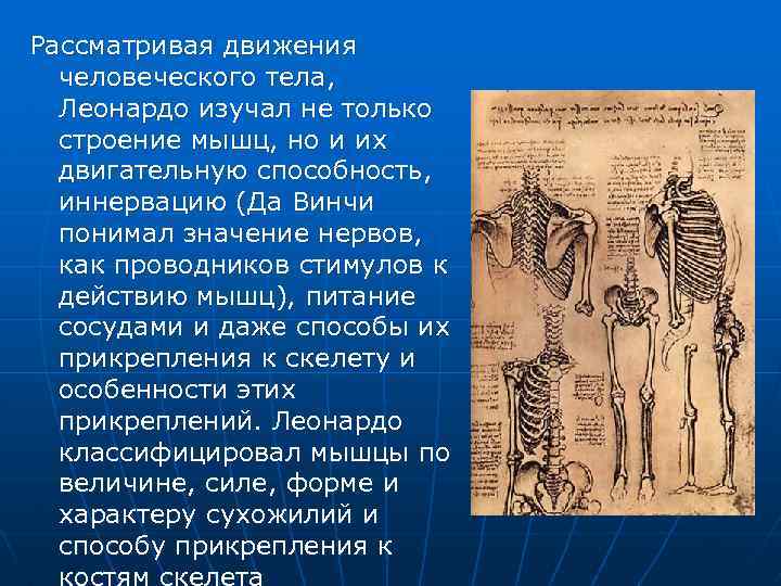 Рассматривая движения человеческого тела, Леонардо изучал не только строение мышц, но и их двигательную