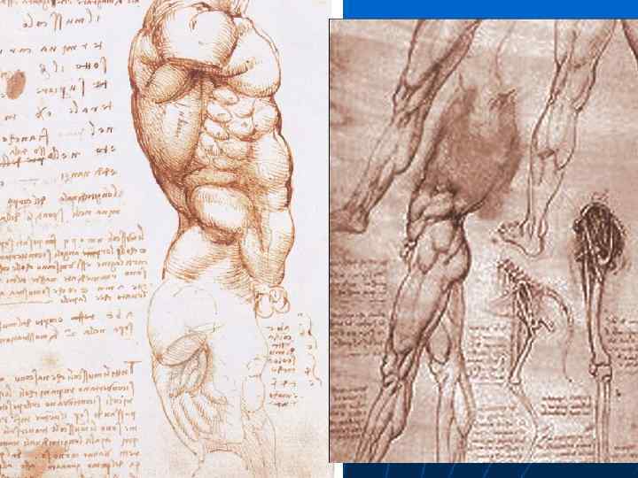 Obra famosa de leonardo da vinci