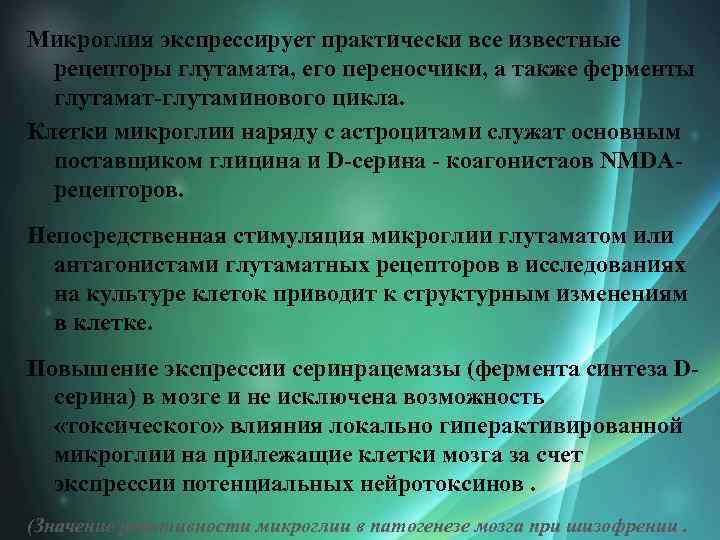 Микроглия экспрессирует практически все известные рецепторы глутамата, его переносчики, а также ферменты глутамат-глутаминового цикла.