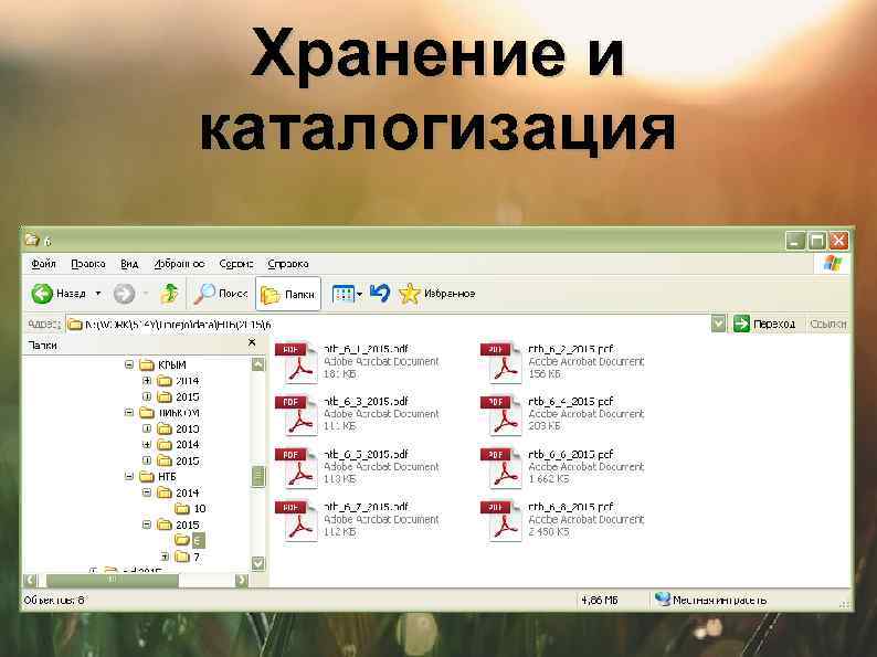 Хранение и каталогизация 