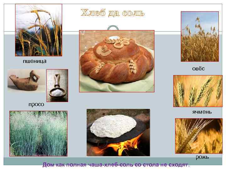 Хлеб да соль пшеница овёс просо ячмень рожь Дом как полная чаша-хлеб-соль со стола