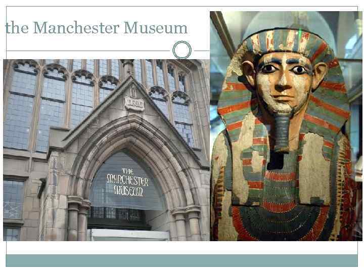 the Manchester Museum 