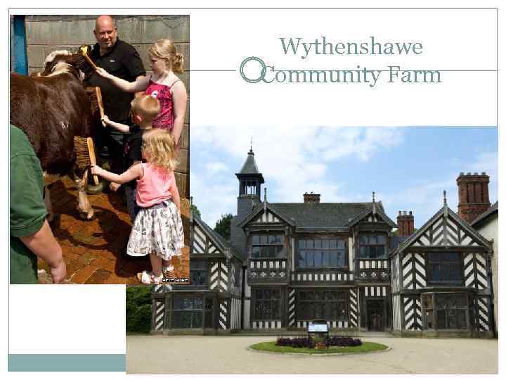 Wythenshawe Community Farm 