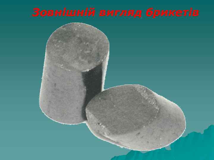 Зовнішній вигляд брикетів 