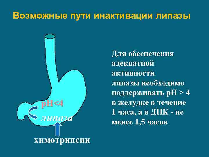 Возможные пути инактивации липазы р. Н<4 липаза химотрипсин Для обеспечения адекватной активности липазы необходимо