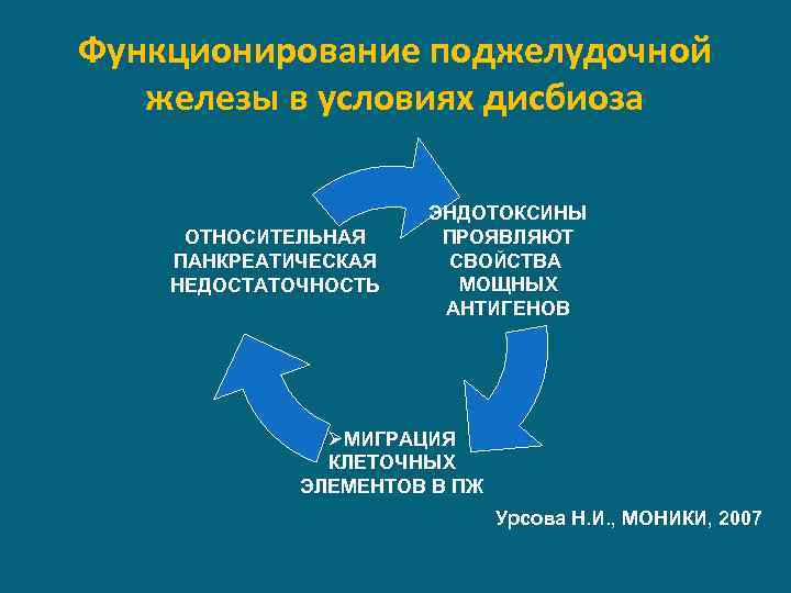 Функционирование поджелудочной железы в условиях дисбиоза ОТНОСИТЕЛЬНАЯ ПАНКРЕАТИЧЕСКАЯ НЕДОСТАТОЧНОСТЬ ЭНДОТОКСИНЫ ПРОЯВЛЯЮТ СВОЙСТВА МОЩНЫХ АНТИГЕНОВ