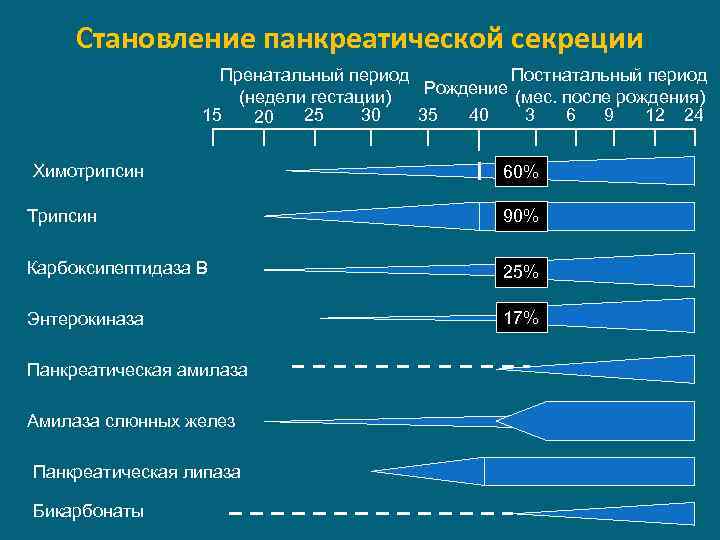 Становление панкреатической секреции Пренатальный период Постнатальный период Рождение (мес. после рождения) (недели гестации) 15