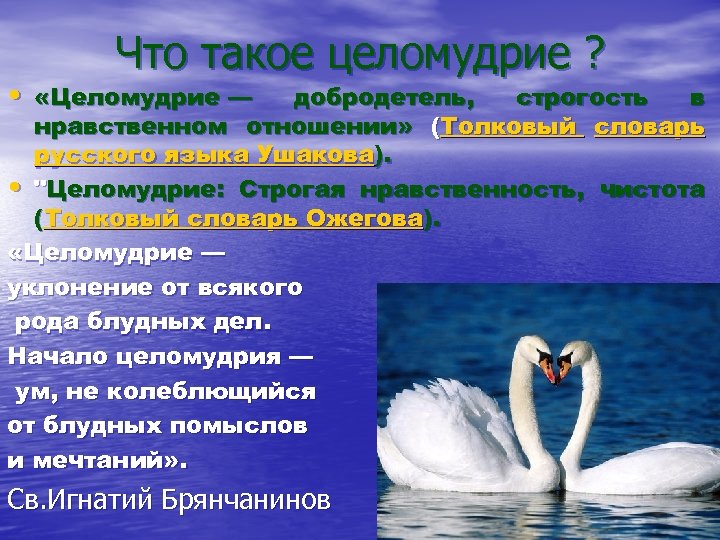 Целомудрие это простыми. Целомудрие. Добродетель целомудрия. Целомудренная это простыми словами. Нравственная чистота.