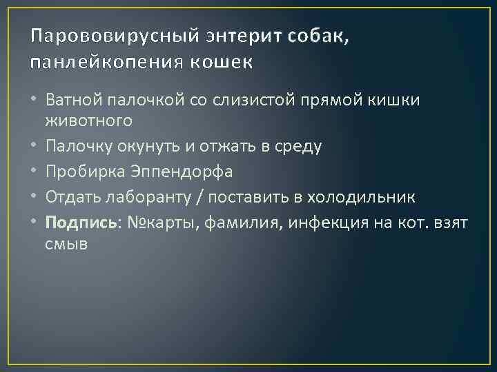 Парововирусный энтерит собак, панлейкопения кошек • Ватной палочкой со слизистой прямой кишки животного •