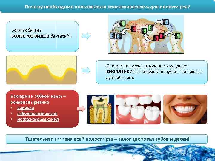 Почему необходимо пользоваться ополаскивателем для полости рта? Во рту обитает БОЛЕЕ 700 ВИДОВ бактерий!