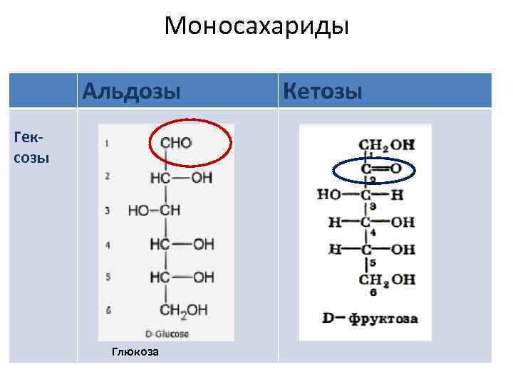 Моносахариды Альдозы Гексозы Глюкоза Кетозы 