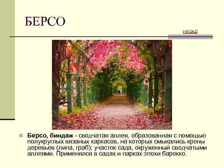 БЕРСО НАЗАД n Берсо, биндаж - сводчатая аллея, образованная с помощью полукруглых вязаных каркасов,