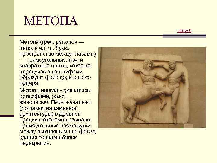 МЕТОПА НАЗАД Метопа (греч. μετωπον — чело, в ед. ч. , букв. , пространство