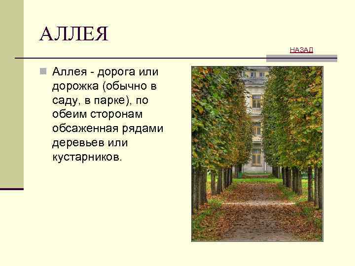 АЛЛЕЯ НАЗАД n Аллея - дорога или дорожка (обычно в саду, в парке), по