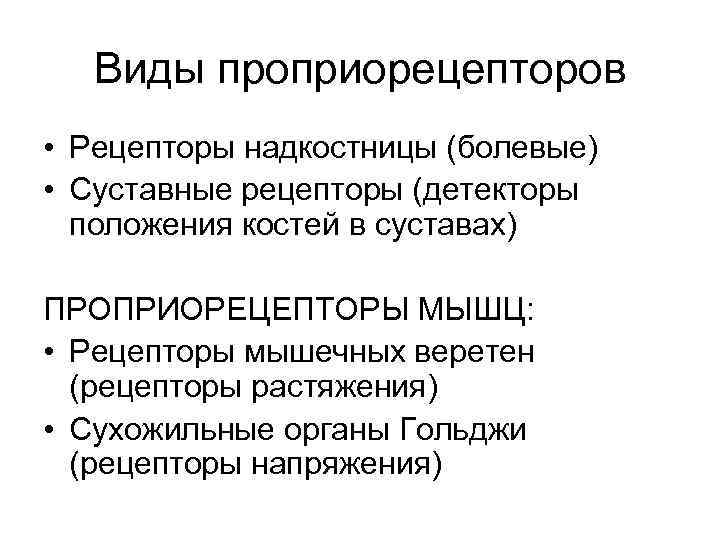 Рецепторы мышц