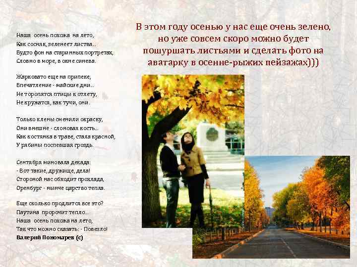 Наша осень похожа на лето, Как сосняк, зеленеет листва. . . Будто фон на