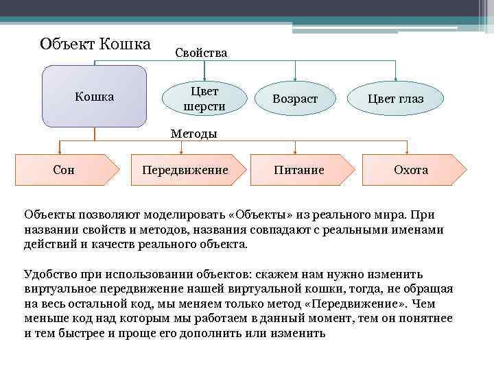 Методы свойства объектов. Кошка свойства объекта. Описание основных свойств объекта кошка. Структура объекта кошки. Объект свойства объекта канал восприятия кошка.