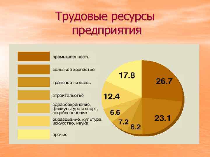 Трудовые ресурсы предприятия 