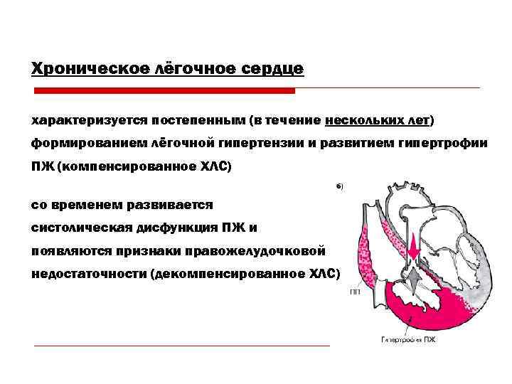 Хроническое лёгочное сердце характеризуется постепенным (в течение нескольких лет) формированием лёгочной гипертензии и развитием