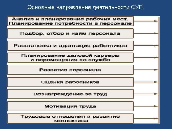 Основные направления деятельности СУП. 