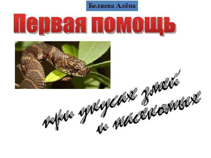 Беляева Алёна Первая помощь ей зм ых ах ом ус сек ук на ри
