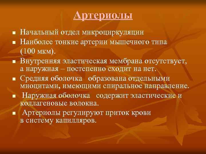 Артериолы n n n Начальный отдел микроциркуляции Наиболее тонкие артерии мышечного типа (100 мкм).