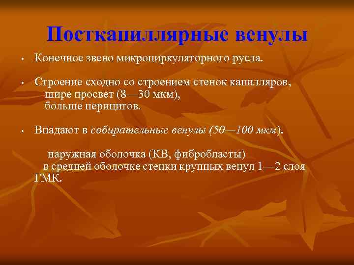 Посткапиллярные венулы • • • Конечное звено микроциркуляторного русла. Строение сходно со строением стенок