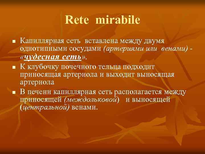 Rete mirabile n n n Капиллярная сеть вставлена между двумя однотипными сосудами (артериями или