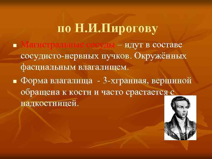 по Н. И. Пирогову n n Магистральные сосуды – идут в составе сосудисто-нервных пучков.