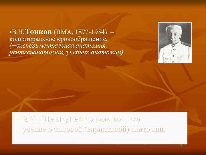  • В. Н. Тонков (ВМА, 1872 -1954) – коллатеральное кровообращение, (+экспериментальная анатомия, рентгенанатомия,