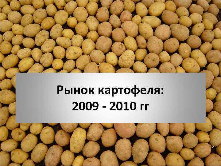 Рынок картофеля: 2009 - 2010 гг 