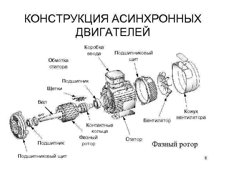 КОНСТРУКЦИЯ АСИНХРОННЫХ ДВИГАТЕЛЕЙ Коробка ввода Обмотка статора Подшипниковый щит Подшипник Щетки Вал Подшипниковый щит