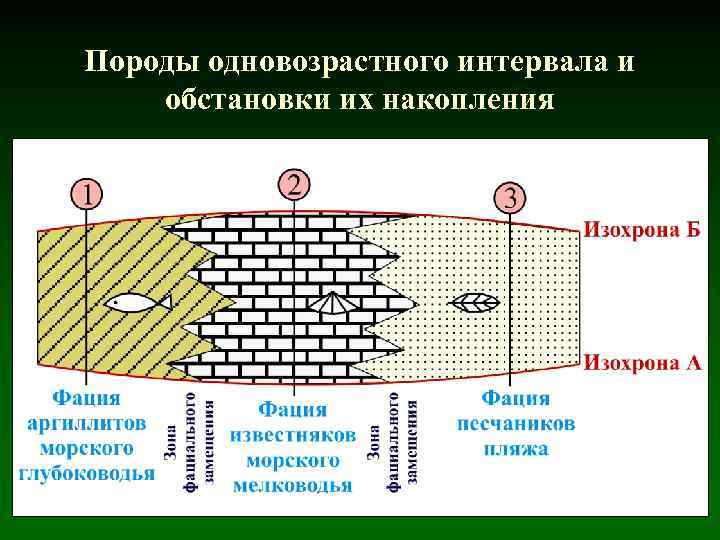 Породы одновозрастного интервала и обстановки их накопления 