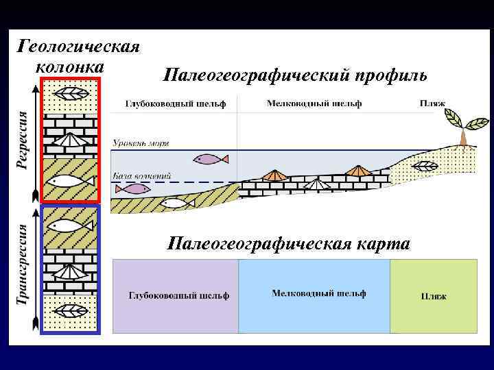 Геологическая колонка Палеогеографический профиль Палеогеографическая карта 