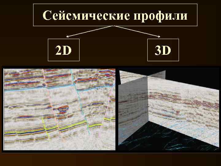 Сейсмические профили 2 D 3 D 