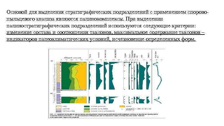 Основой для выделения стратиграфических подразделений с применением споровопыльцевого анализа являются палинокомплексы. При выделении палиностратиграфических