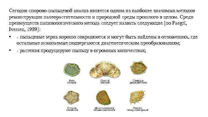 Сегодня спорово-пыльцевой анализ является одним из наиболее значимых методов реконструкции палеорастительности и природной среды