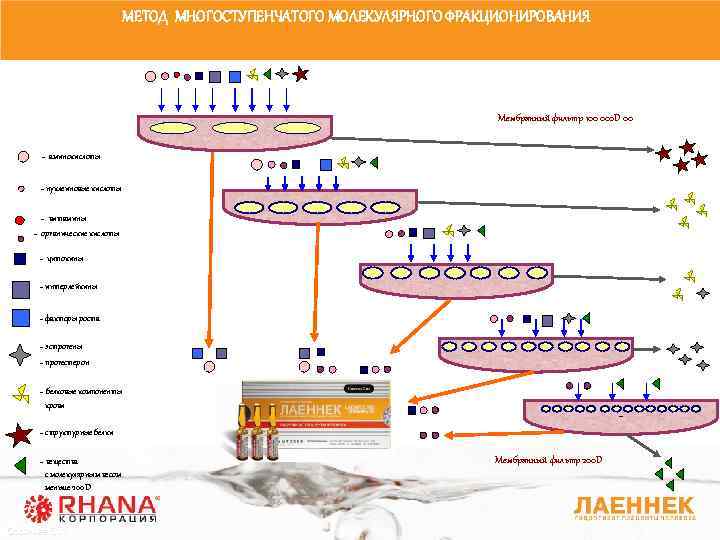 МЕТОД МНОГОСТУПЕНЧАТОГО МОЛЕКУЛЯРНОГО ФРАКЦИОНИРОВАНИЯ Мембранный фильтр 100 000 D 00 - аминокислоты - нуклеиновые