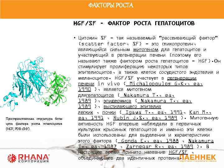 Фактор роста 3 5