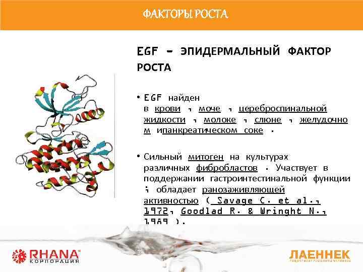 Эпидермальный фактор роста человеческий рекомбинантный. EGF фактор роста. Фактор роста эпидермиса. Эпидермальные факторы роста.
