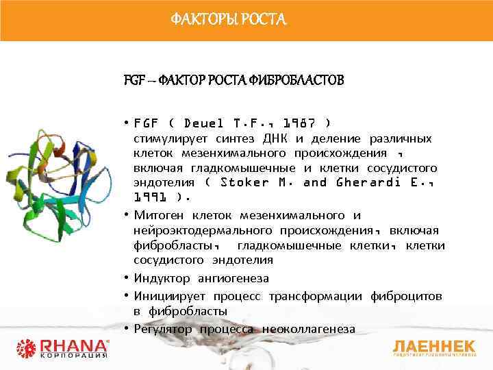 Фактор рос. Фактор роста фибробластов. Фактор роста фибробластов функции. FGF фактор роста. Фактор роста фибробластов 23.