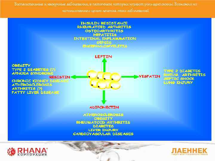 Воспалительные и иммунные заболевания, в патогенезе которых играют роль адипокины. Возможно их использование с